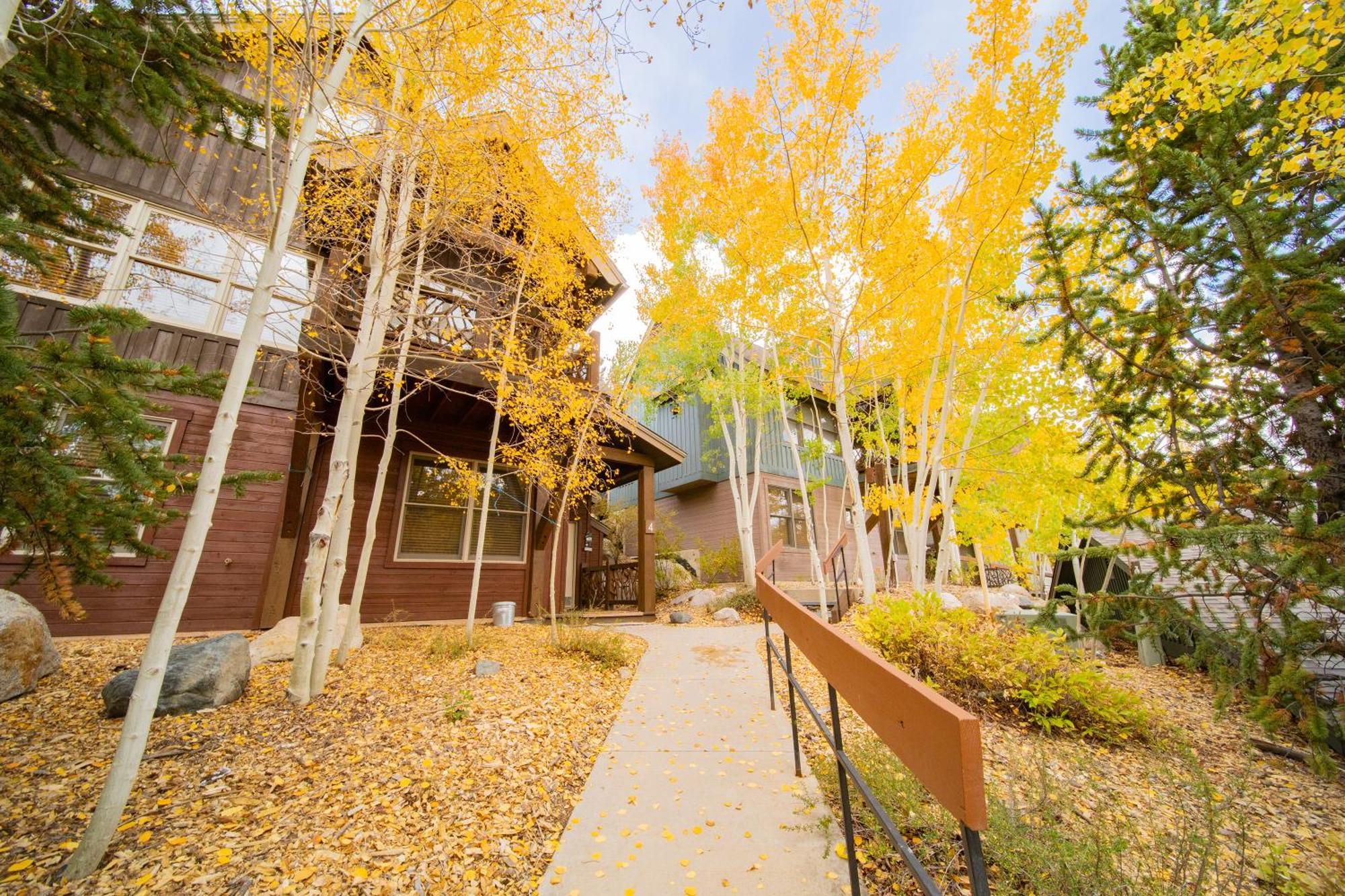 Cabin In The Pines 4 By Summitcove Lodging Keystone Exterior foto